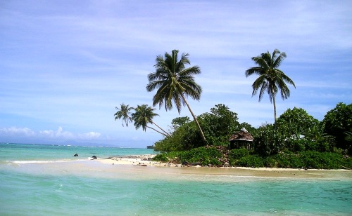 Ein Fest für die Sinne